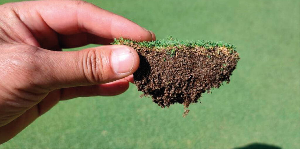 Asesoría mantenimiento