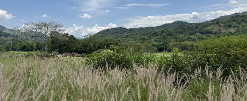 internacionalizacion