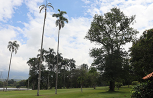 Club Campestre Farallones