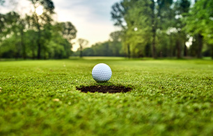 Genérica campo clubes